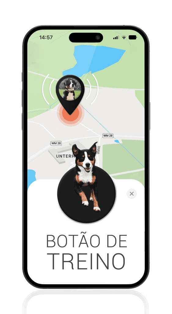 Rastreador GPS para cães