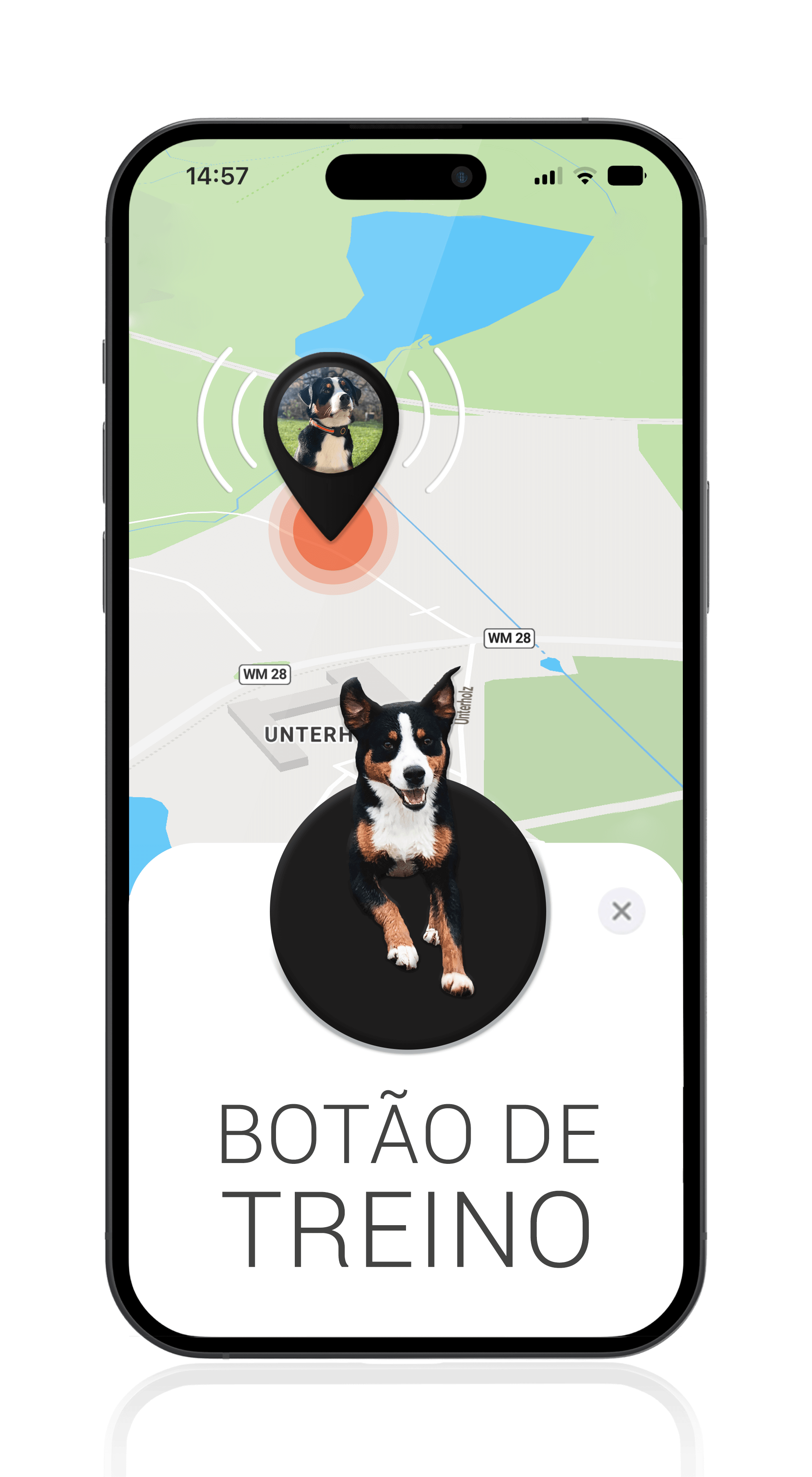 Rastreador GPS para cães