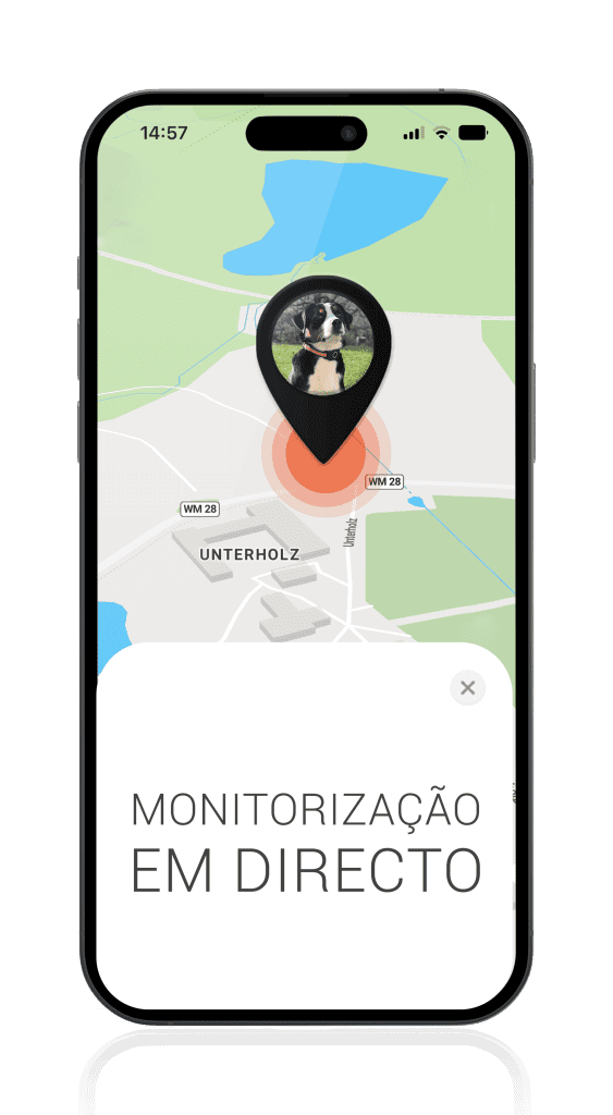 Rastreador GPS para cães