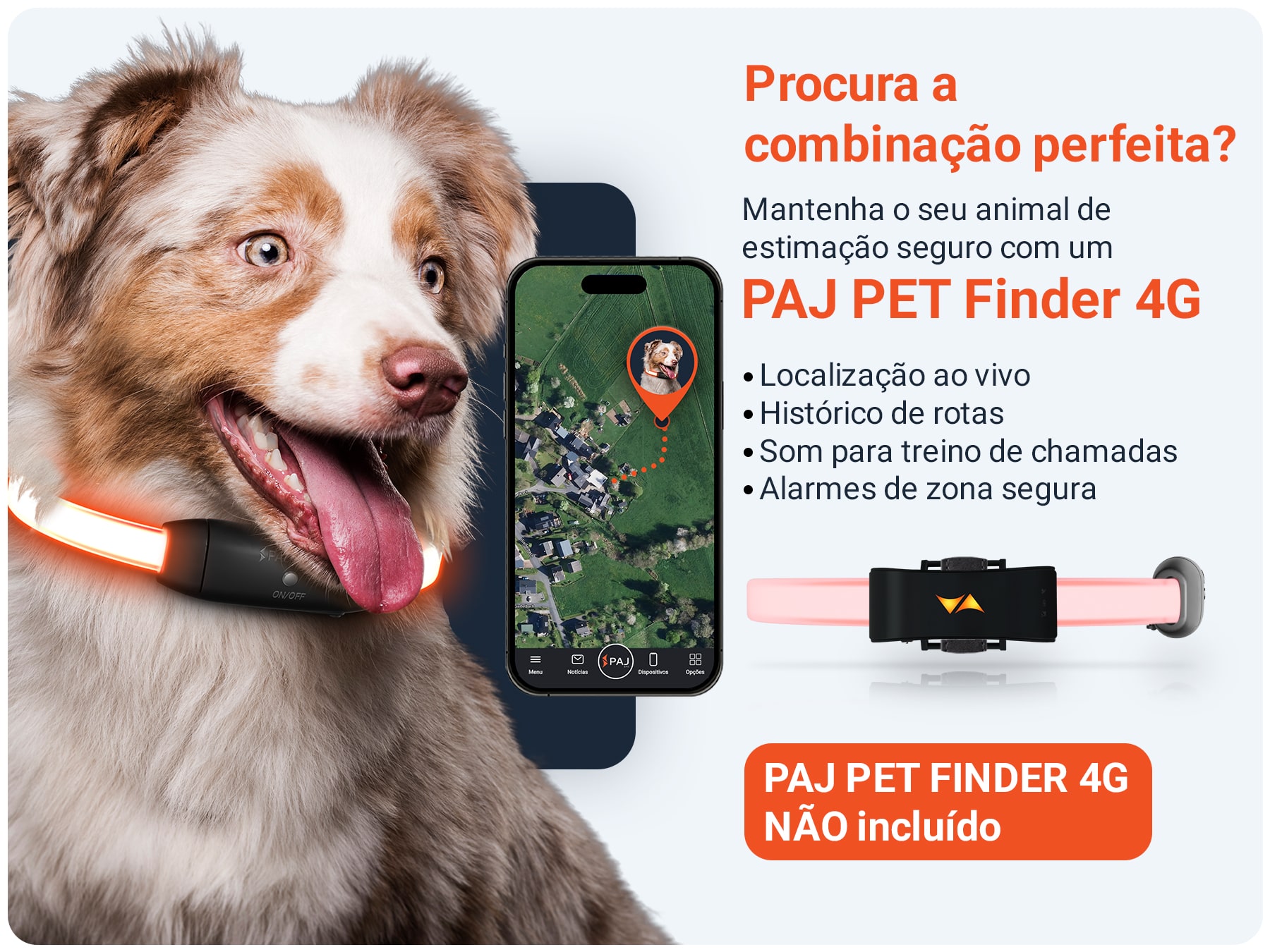 Combinação PET Finder PAJ LIGHT preto: LED Coleira para cães PAJ GPS