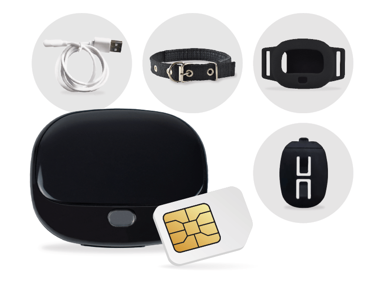 Imagem do produto PAJ PET Finder 4G preto