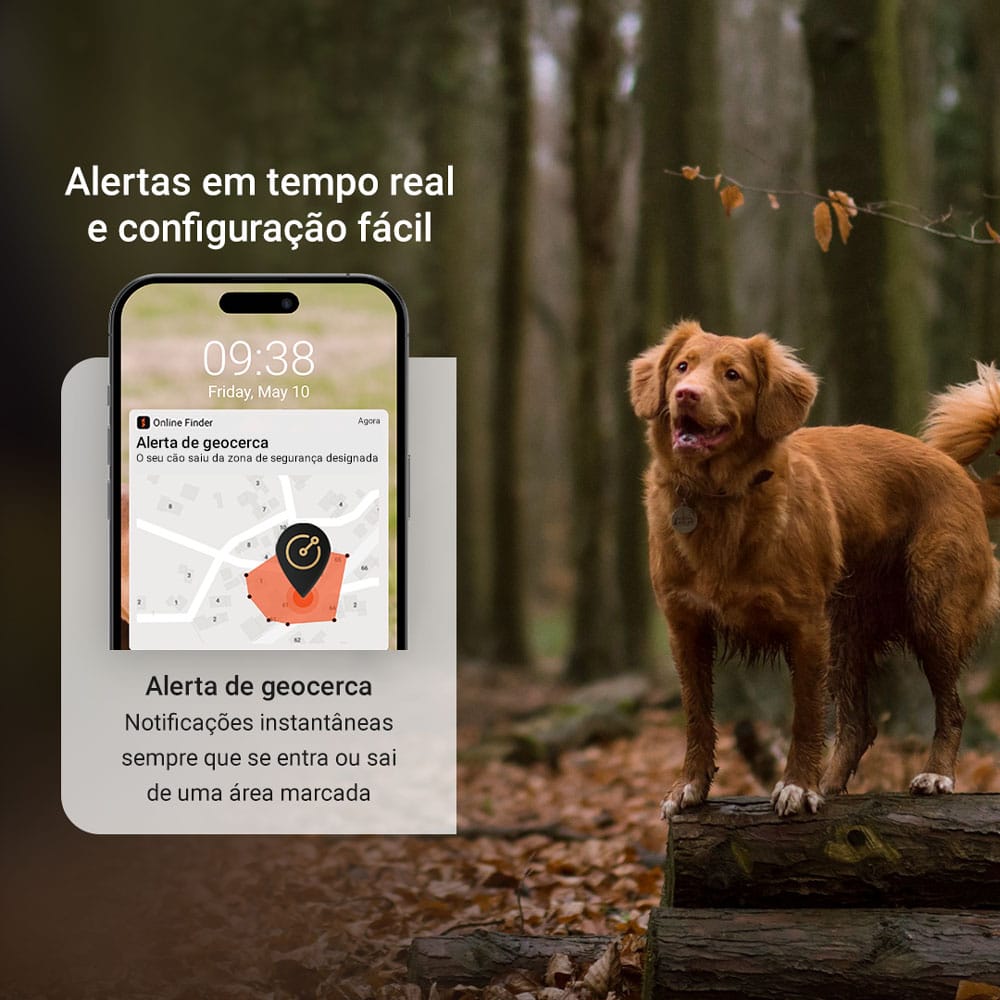 Alertas Geofence PAJ PET Finder 4G cinzento PAJ GPS Tracker