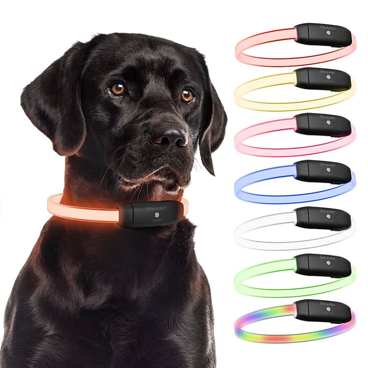 PAJ LIGHT preto: LED Coleira para cães PAJ GPS