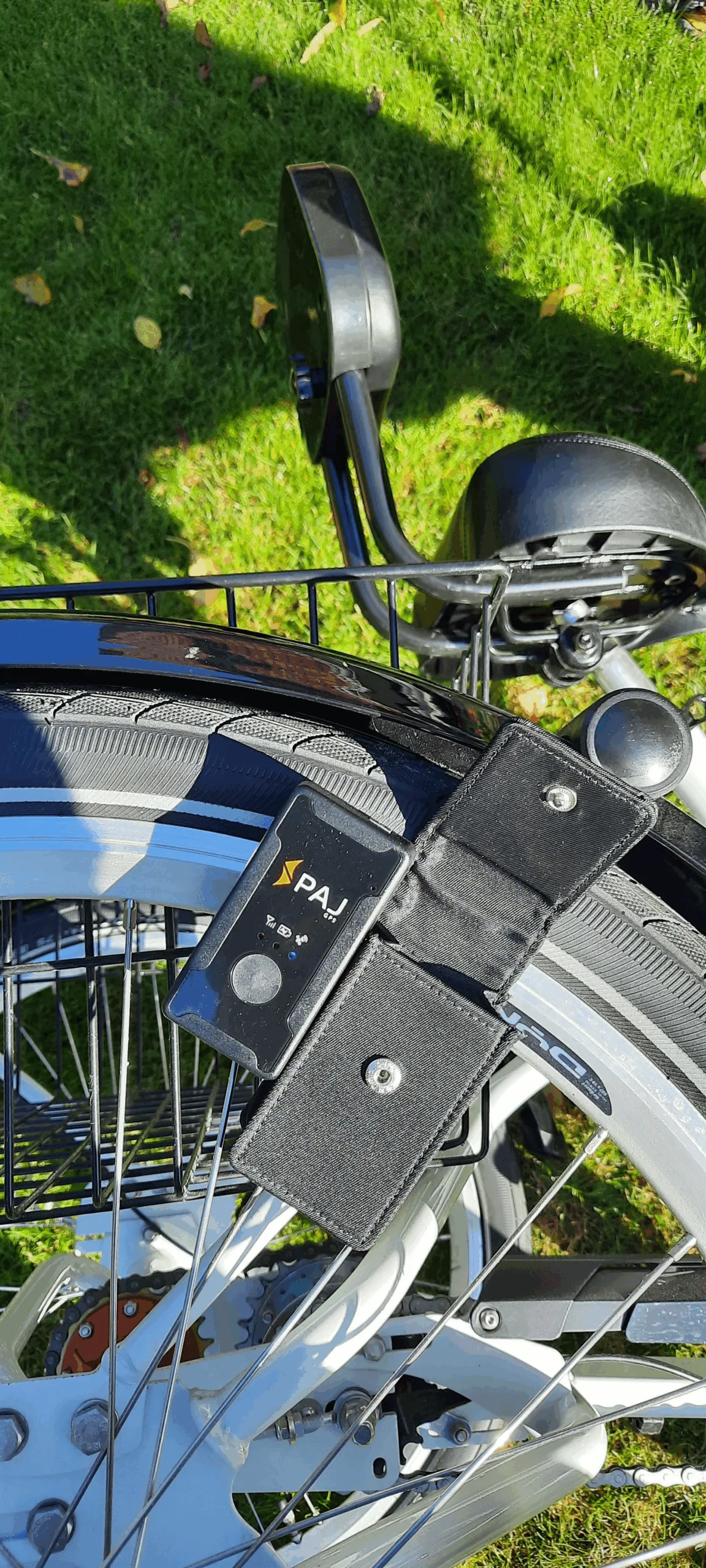 PAJ Bicycle Coconella1