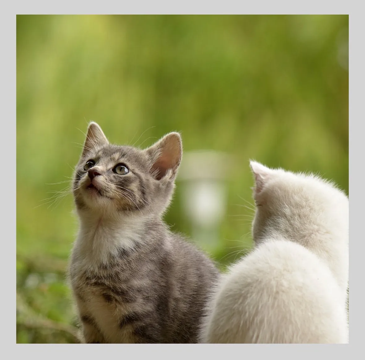 PAJ stories People finder