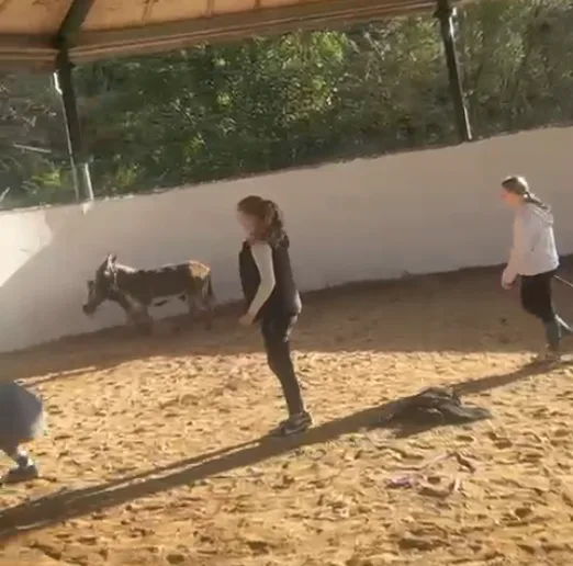 PAJ stories People finder