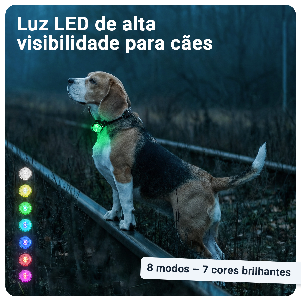 Gallery Images_PAJ Light Mini - PT - KB - 05 March 2026 - 2. 8 Modes