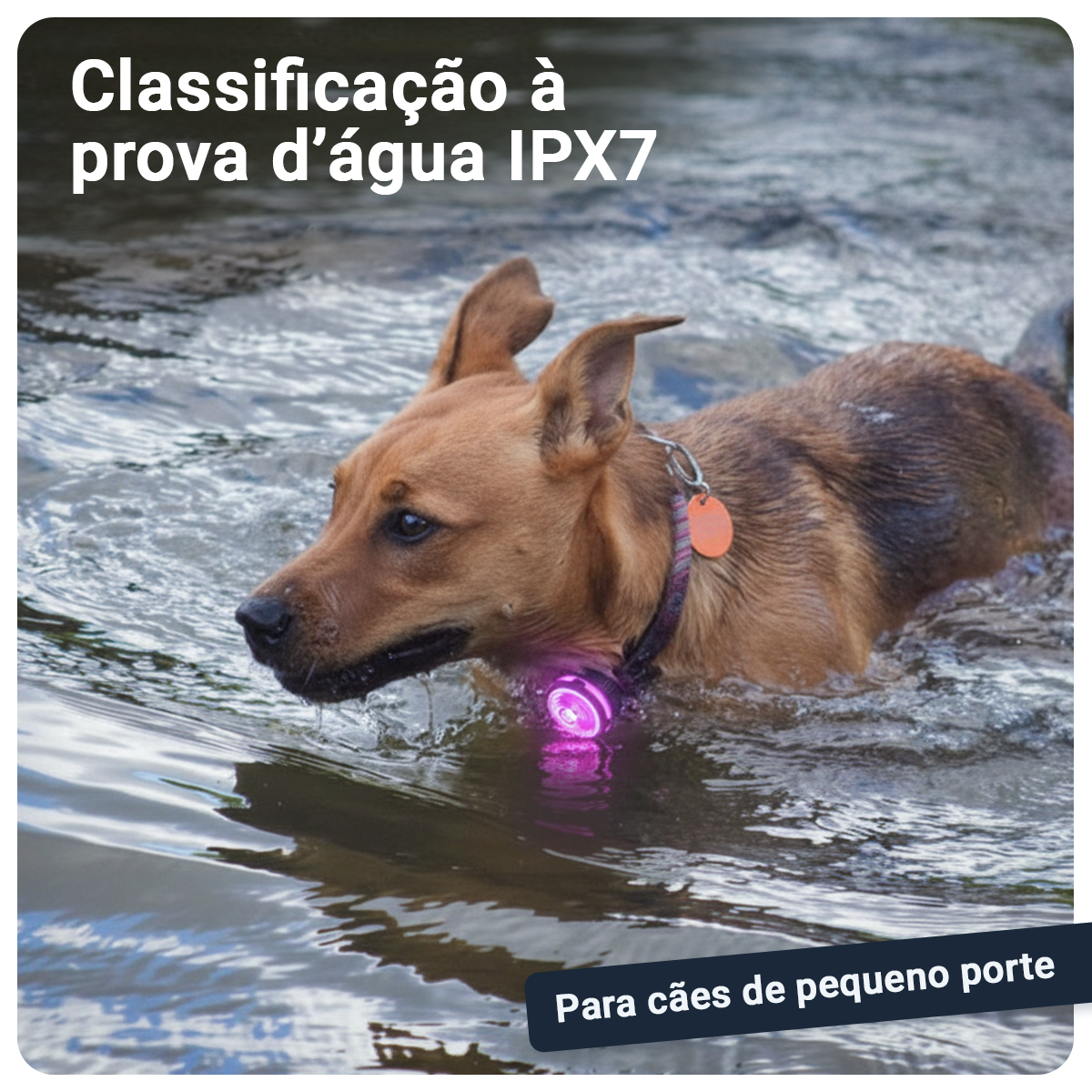 Gallery Images_PAJ Light Mini - PT - KB - 05 March 2026 - 3. IPX7