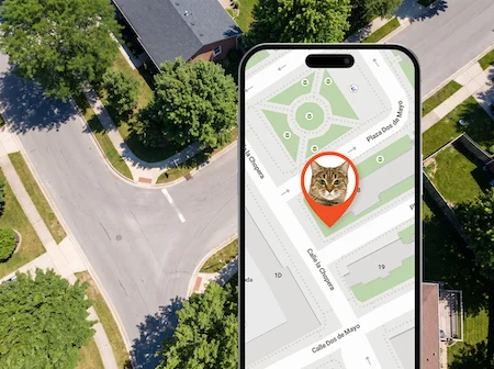 PAJ Pet Finder 4G Mini para gatos e as suas funcionalidades