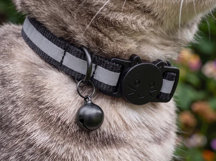 Grande plano do Pet Finder 4G Mini num gato